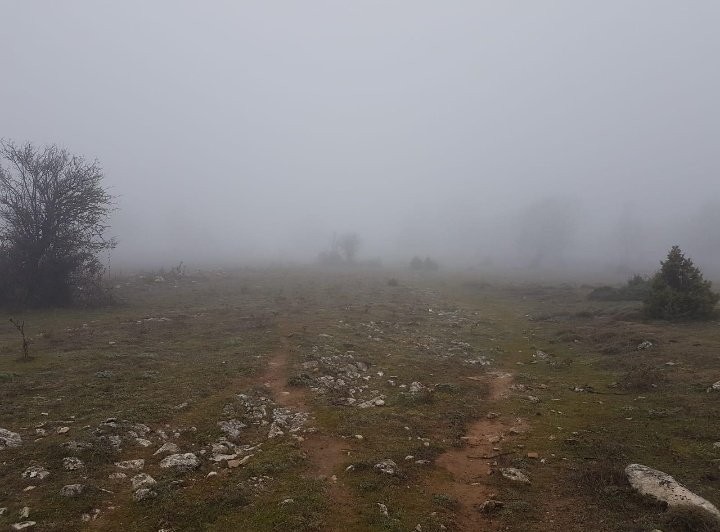 Bursa’da 2 gündür aranan yaşlı adamın şapkasına ulaşıldı Bursa’da 2 gündür aranan yaşlı adamın şapkasına ulaşıldı