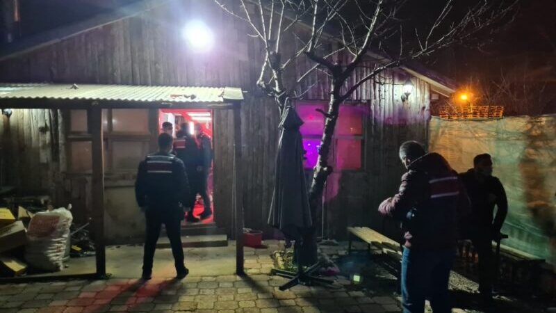 BURSA (AA) - Bursa'nın Kestel ilçesinde içkili restoran gibi hizmet