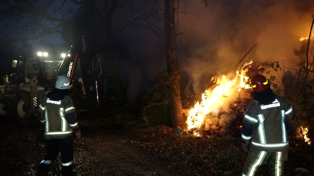 Bursa’da çiftlik alevlere teslim oldu…15 büyükbaş kurtarılamadı