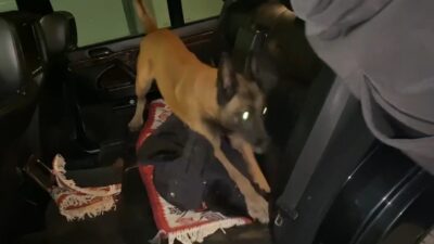 Yer: Bursa… Otomobildeki uyuşturucuyu ‘Galya’ buldu