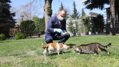 Bursa’da can dostlara 62 ton mama