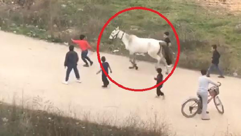 Bursa’da yaralı atla oyuna hayvanseverlerden tepki