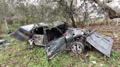 Bursa’da otomobil zeytinliğe uçtu