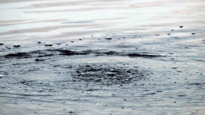 Korkutan iddia: Depremin habercisi olabilir