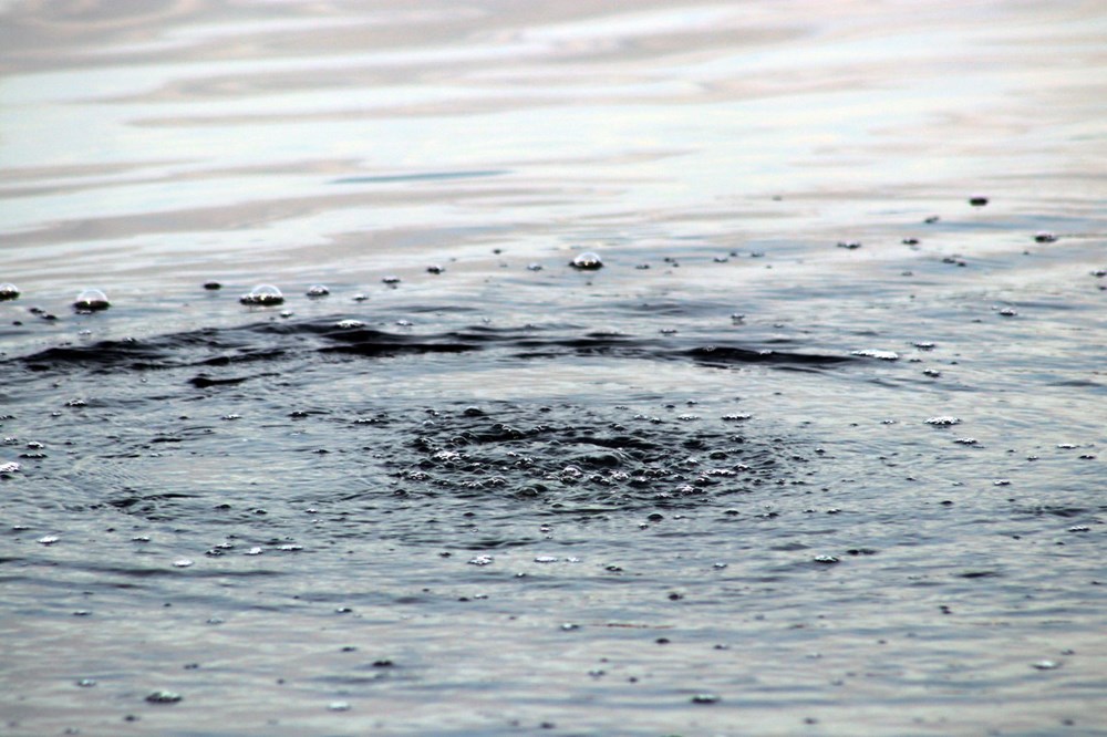 Korkutan iddia: Depremin habercisi olabilir
