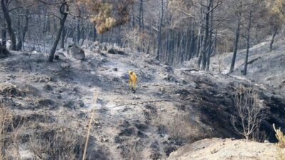 Cumhurbaşkanlığından Hatay’daki tarımsal zarar için 3 milyon lira yardım