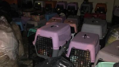 Kötü kokular gerçeği ortaya çıkardı! Bu halde bulundular