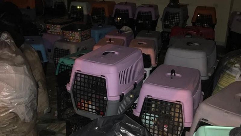 Kötü kokular gerçeği ortaya çıkardı! Bu halde bulundular Kötü kokular gerçeği ortaya çıkardı! Bu halde bulundular