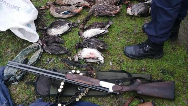 Kuş cennetinde kaçak avlanan 2 kişi suçüstü yakalandı