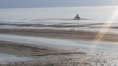 İznik Gölü onlara kaldı! ’55 yıldır böylesini görmedim’