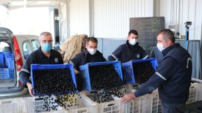 Marmarabirlik’ten üreticiye ödeme