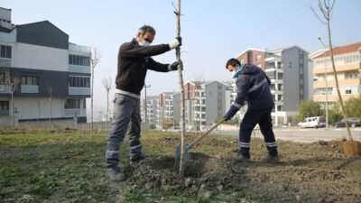Nilüfer’de fidan dikimi başladı