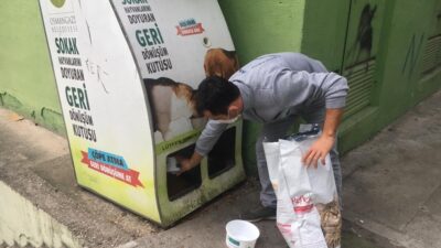 Osmangazi’de sahipsiz hayvanlar besleniyor