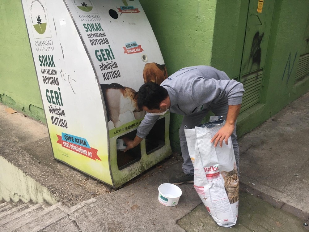 Osmangazi’de sahipsiz hayvanlar besleniyor