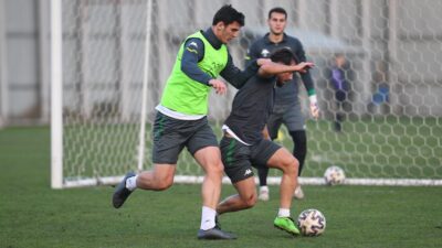 Timsah taktik çalıştı