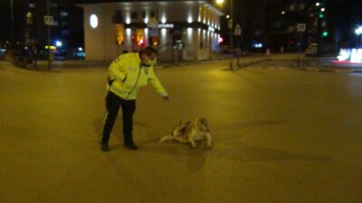 Bursa’da polis memuruyla köpeğin gülümseten görüntüleri