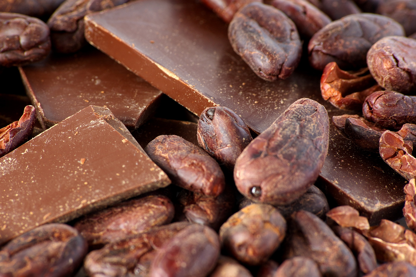 Точки шоколад. Шоколад какао Бобы. Ацтеки и шоколад. Какао шоколад. Какао шоколадные Бобы.