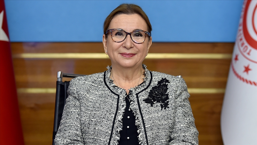 Türkiye ile İngiltere arasında tarihi anlaşma