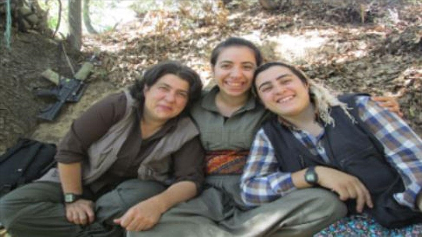 PKK’lılarla fotoğrafları ortaya çıkan avukata hapis istemi