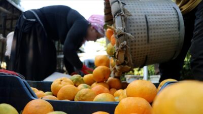 Mandalina üreticileri sezonu ‘mutlu’ uğurluyor