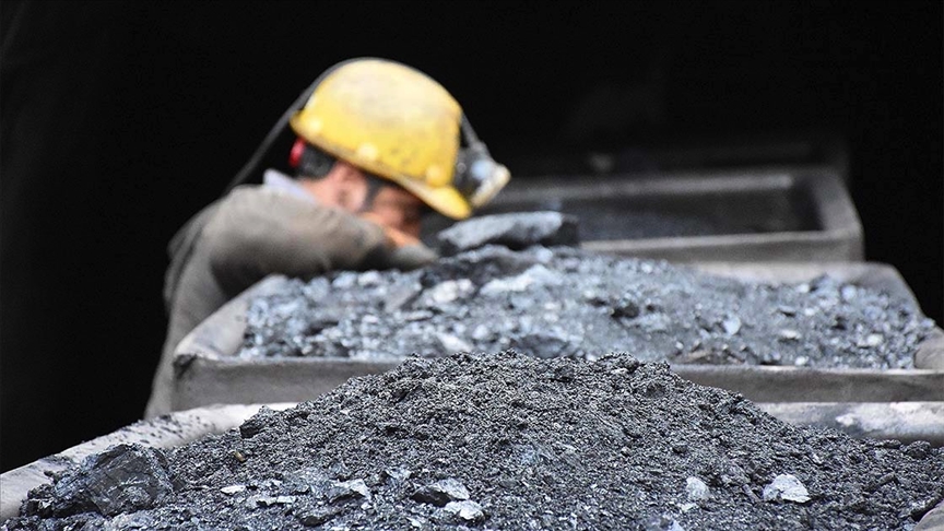 ‘Kara elmas’ın satışından 11 ayda 267 milyon 611 bin lira gelir