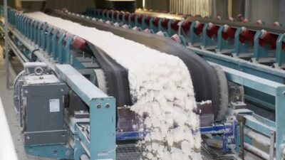 Bakan Dönmez duyurdu! Pazartesi başlıyor…