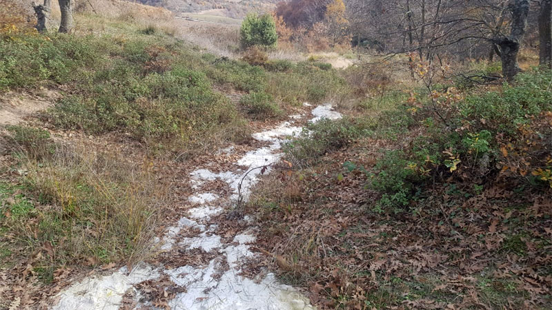 Sıra Sarıyer deresine mi geldi?