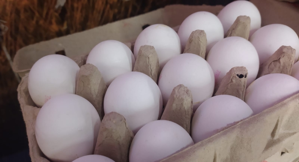 Ticaret Bakanlığı’dan önemli ‘yumurta fiyatı’ açıklaması! Ticaret Bakanlığı’dan önemli ‘yumurta fiyatı’ açıklaması!