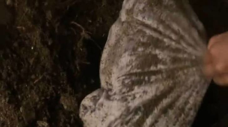 Ünlü şarkıcı ölen kedisini mezardan çıkarıp pişirdiği görüntüleri sosyal medyadan paylaştı!