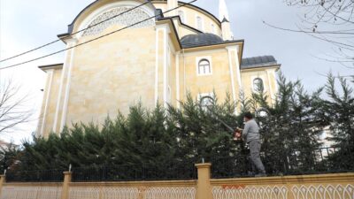 Şehrin dört bir yanında budama çalışmaları sürüyor