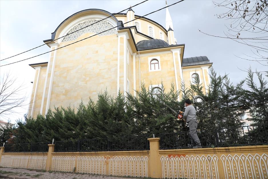 Şehrin dört bir yanında budama çalışmaları sürüyor