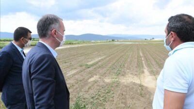 ‘İnegöl tarım modeli’ Türkiye’ye örnek olacak