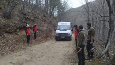 Bursa’da ormanda hareketli dakikalar
