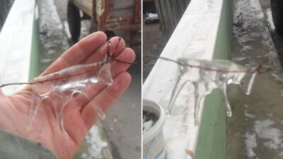 Bursa’da şaşkına çeviren olay