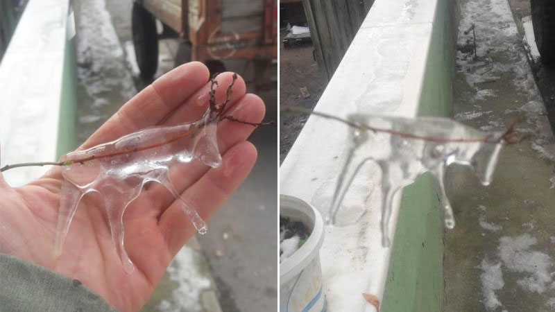 Bursa’da şaşkına çeviren olay