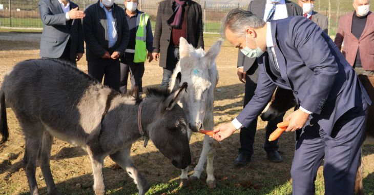 Bursa’nın emekli hayvanlar çiftliği