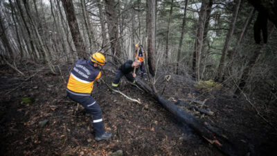 Yer: Bursa… Mangal ateşi 10 dönümü yaktı