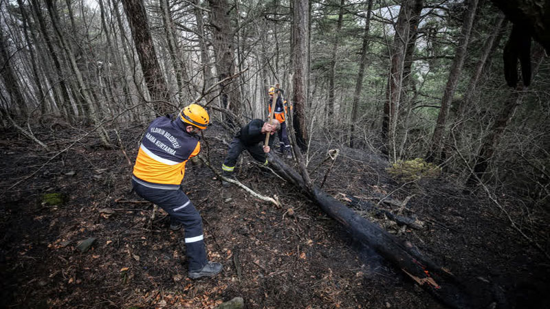 Yer: Bursa… Mangal ateşi 10 dönümü yaktı
