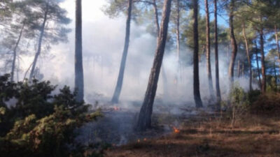 Bursa’da korkutan yangın
