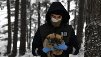 Yavru köpekler donmaktan kurtarıldı