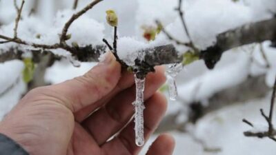 Bursa Valiliğinden buzlanma ve zirai don uyarısı