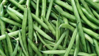 Aralıkta en çok taze fasulyenin fiyatı arttı