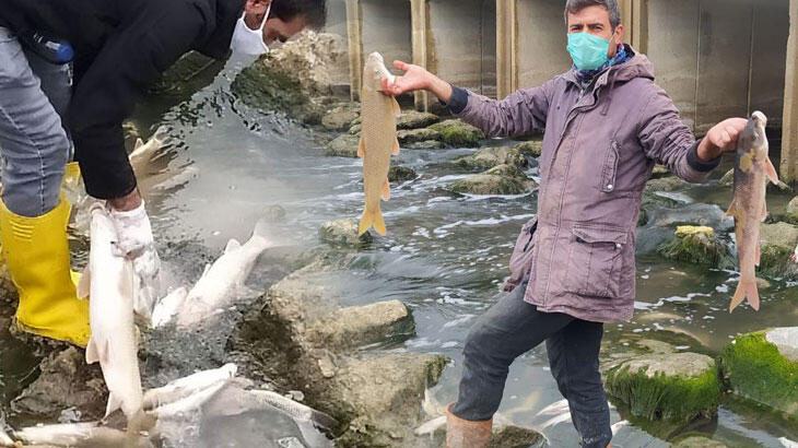 Göreni dehşete düşürdü! ‘Bu resmen katliam’