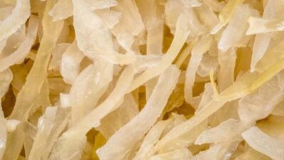 Süper besin! Beslenmenize mutlaka dahil edin…