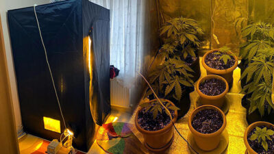 Ekipler şaşkına döndü! Odaya sera kurup uyuşturucu yetiştirdi