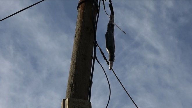 Uzaktan eğitime hırsız engeli