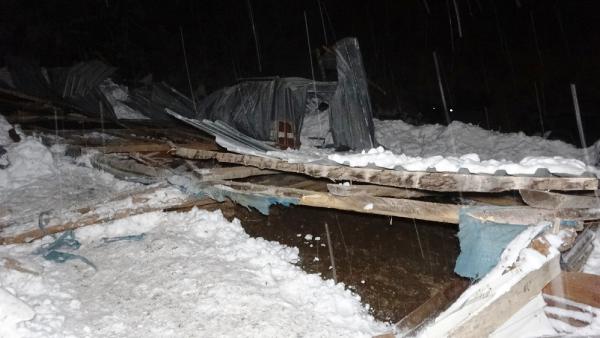 Bursa’da feci olay! 9 büyükbaş hayvan telef oldu