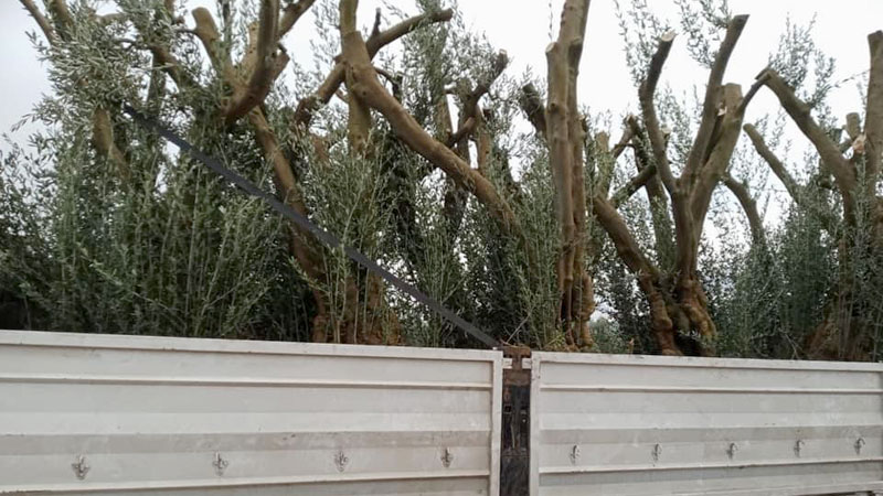 Bursa’da tepki çeken satış Bursa’da tepki çeken satış