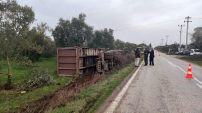 Bursa’da kamyon zeytinliğe devrildi
