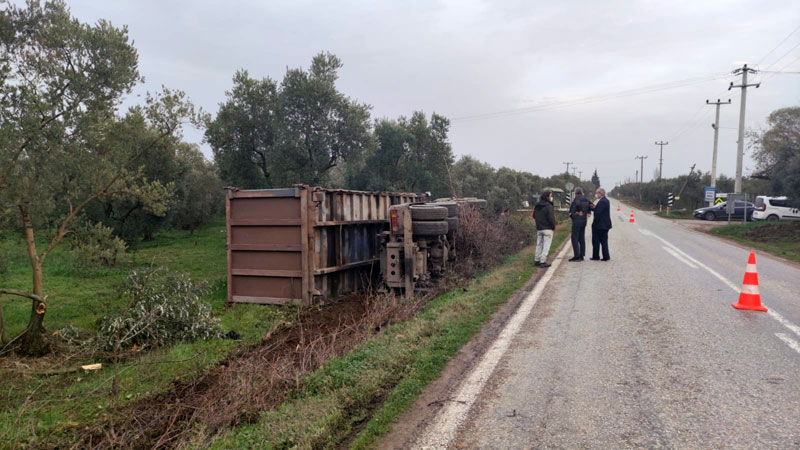 Bursa’da kamyon zeytinliğe devrildi Bursa’da kamyon zeytinliğe devrildi